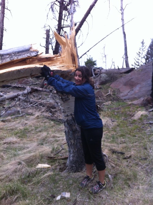 Norma was getting angy with my slow pace... so she knocked over this aspen.