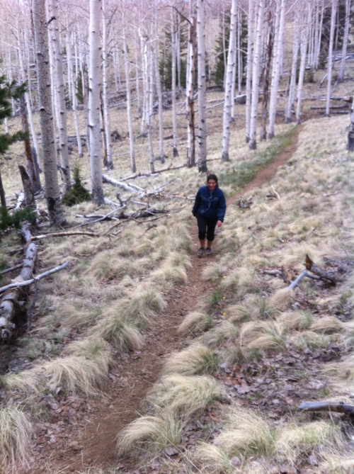 Norma running the single track.
